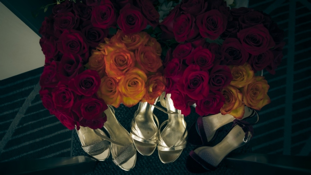 Sp�cialistes du mariage et Mitzvah au Montr�al | Producteurs de mariages et d'�v�nements � Montr�al - artistes en direct, DJ's pour mariages, c�r�monies de mariage, danseurs, mariages et �v�nements, �clairage pour votre mariage et moments sp�ciaux.