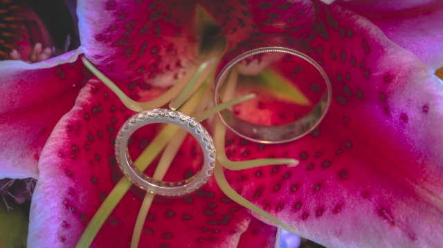 Sp�cialistes du mariage et Mitzvah au Montr�al | Producteurs de mariages et d'�v�nements � Montr�al - artistes en direct, DJ's pour mariages, c�r�monies de mariage, danseurs, mariages et �v�nements, �clairage pour votre mariage et moments sp�ciaux.